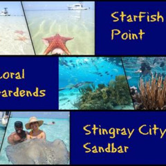 Review Special Price Starfish Point Stingray City And Coral Garden Adventure