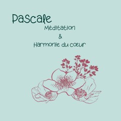 Meditation pleine conscience du souffle