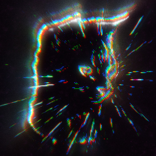 Petit Chat