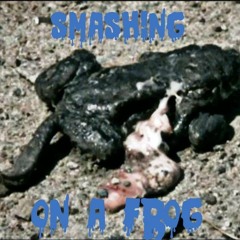 SMASHING ON A FROG