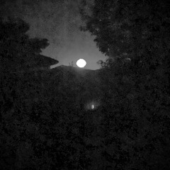 Ending of Your Shadow by Wisteria looped (poorly)