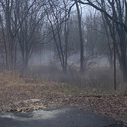 Fallout New Vegas Radio+Mr New Vegas Monologue