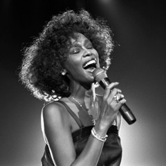 Tribute Vol. 03 I Whitney Houston House Mix (New Free Download)