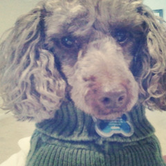 February7th (feat. YoungDoody)