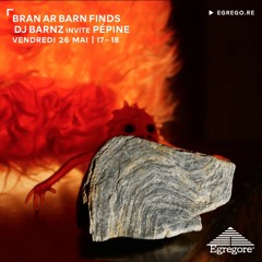 Bran Ar Barn Finds - DJ Barnz invite Pépine (Mai 2023)