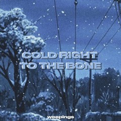 cold right to the bone [prod. weepings]