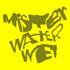Mister Water Wet Feat Alexis Penney - Nepenthes (Demo)