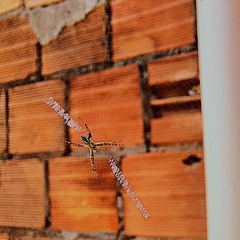 holográfico (@marccs.02)