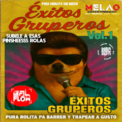 exitos gruperos vol 1