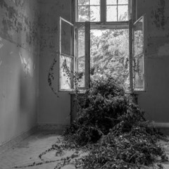 f song (looped & slowed down)