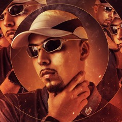 VOU BROTAR BEBE, HOJE O BARRACO TREME - MC THAIZINHA e MC MR BIM ( DJ GUINA )