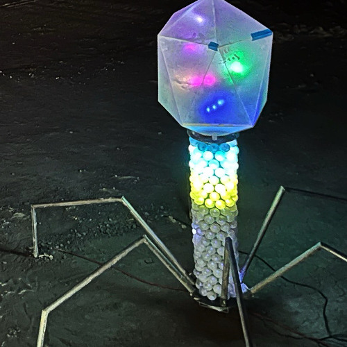 Burning Man 2024 Wednesday - Phage Party - Midnight set