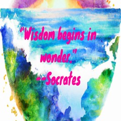 State of Wonder
