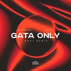 FloyyMenor & Cris MJ - Gata Only (RoyJ Remix) Extended Mix