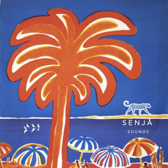 Senja Sounds: Ian Sink