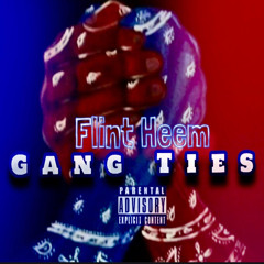 Flint Heem-Gang Ties