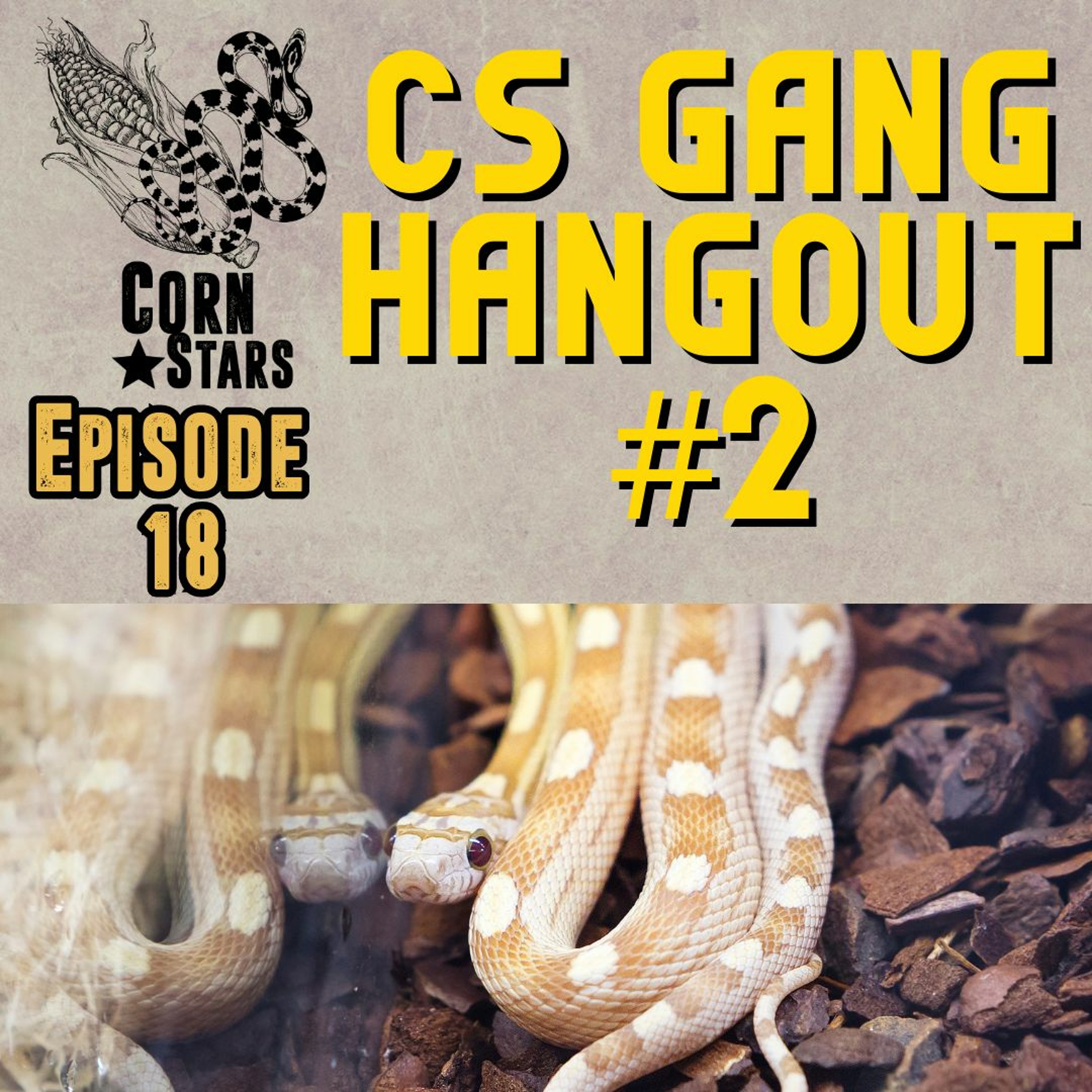 CS Gang Hangout #2 | CornStars Ep. 18