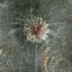 Tania & Mike, Mike & Tania