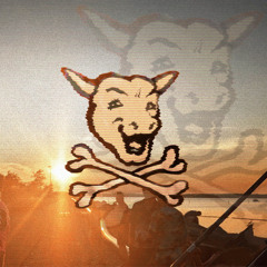 BABS / PRYGL ‽ / 19.07.25