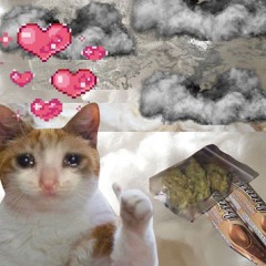 Coton (ft. _vulvizarre)