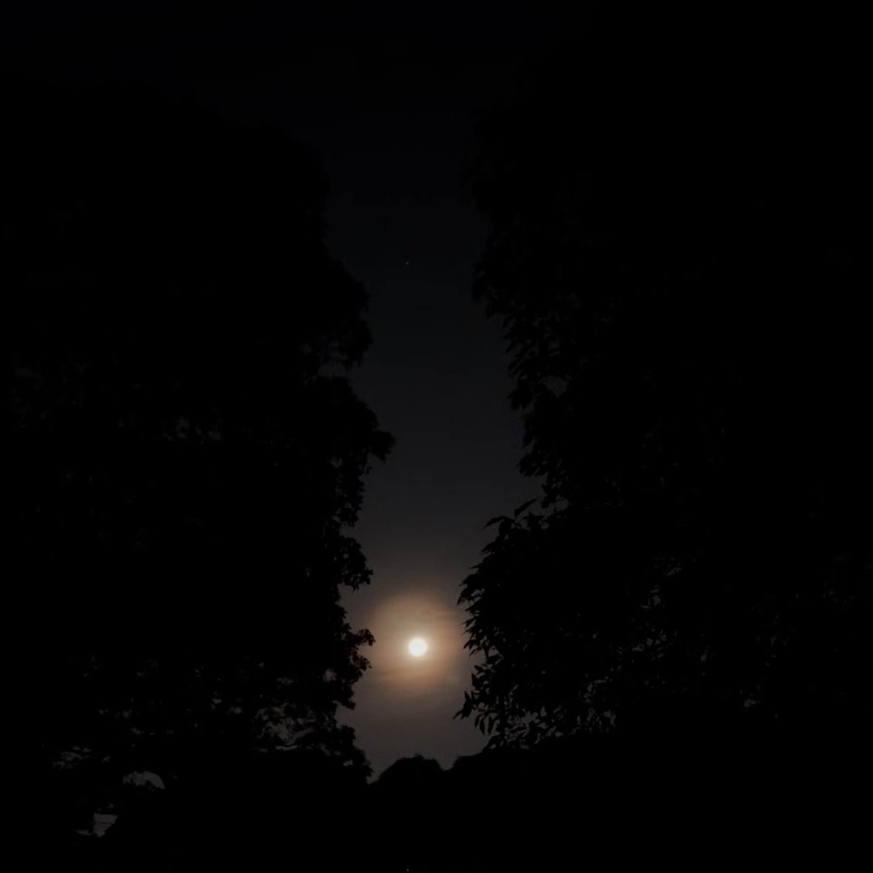 full moon reflections episode artwork