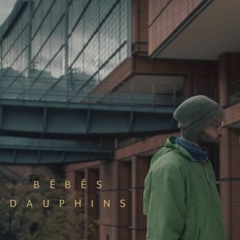 Bébés Dauphins