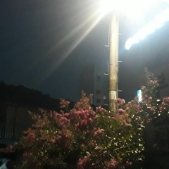 김승민-내 기쁨은 너가 벤틀리를 끄는 거야.