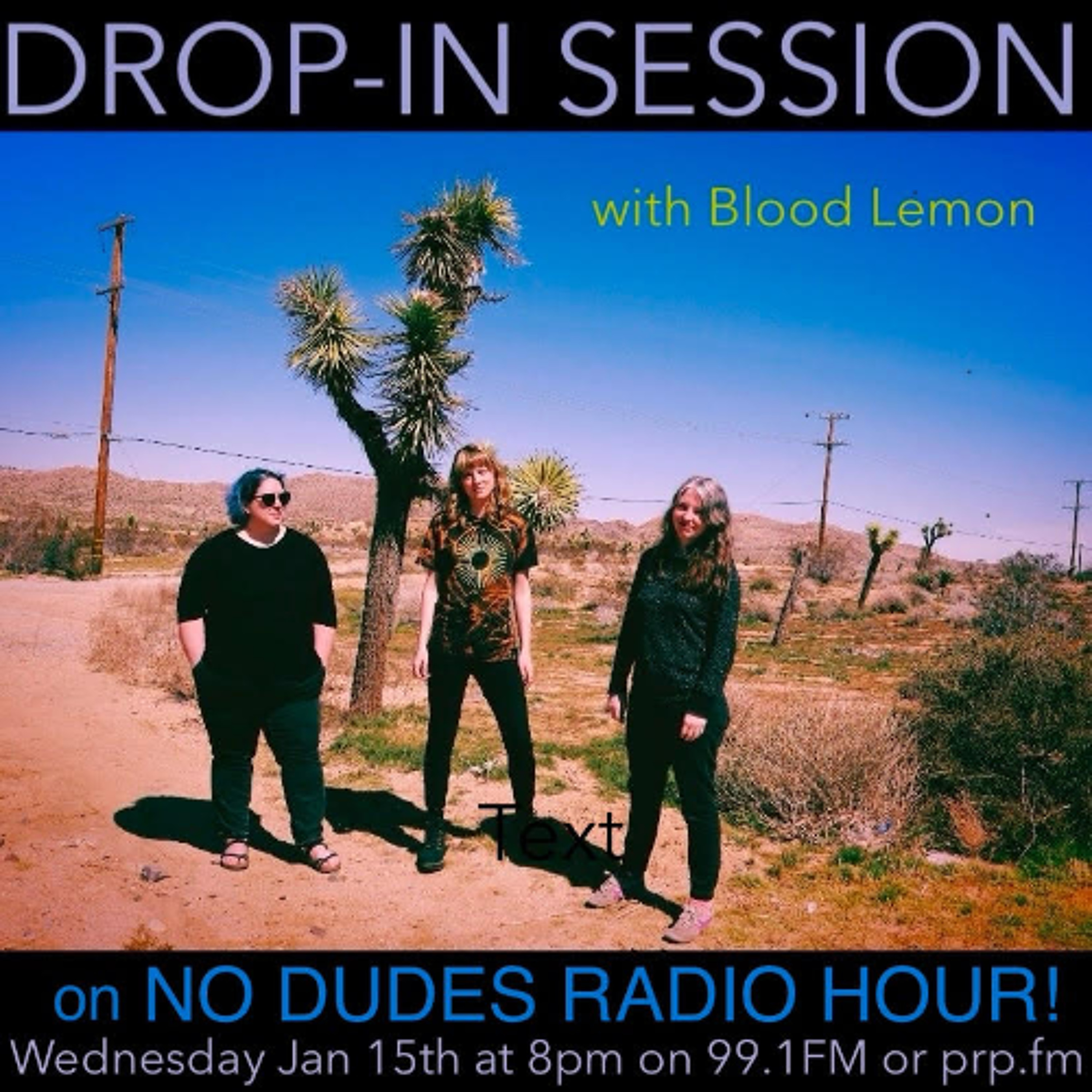 Drop-In Session with Blood Lemon episode artwork