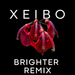 Rufus Du Sol- Brighter- (Xeibo Remix)