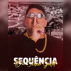 SEQUENCIA DA SERIE GOLD - DJ BRITIS