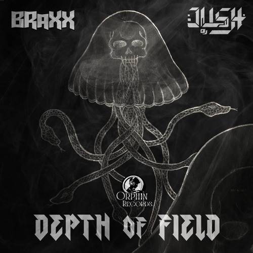 DEPTH OF FIELD [Orphin Records]