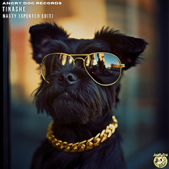 Tinashe - Nasty (SPEKTER Edit) Free Download