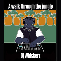Multi-Genre Madness #001 A walk through the jungle 11/02/25