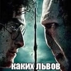дура с инстаграма + y4meru.mp3