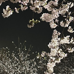 한로로 자처 (cover)
