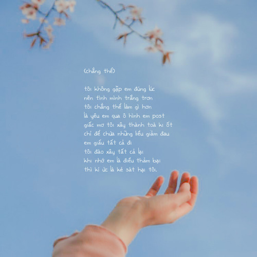 Lâm Ngọc Như Cover