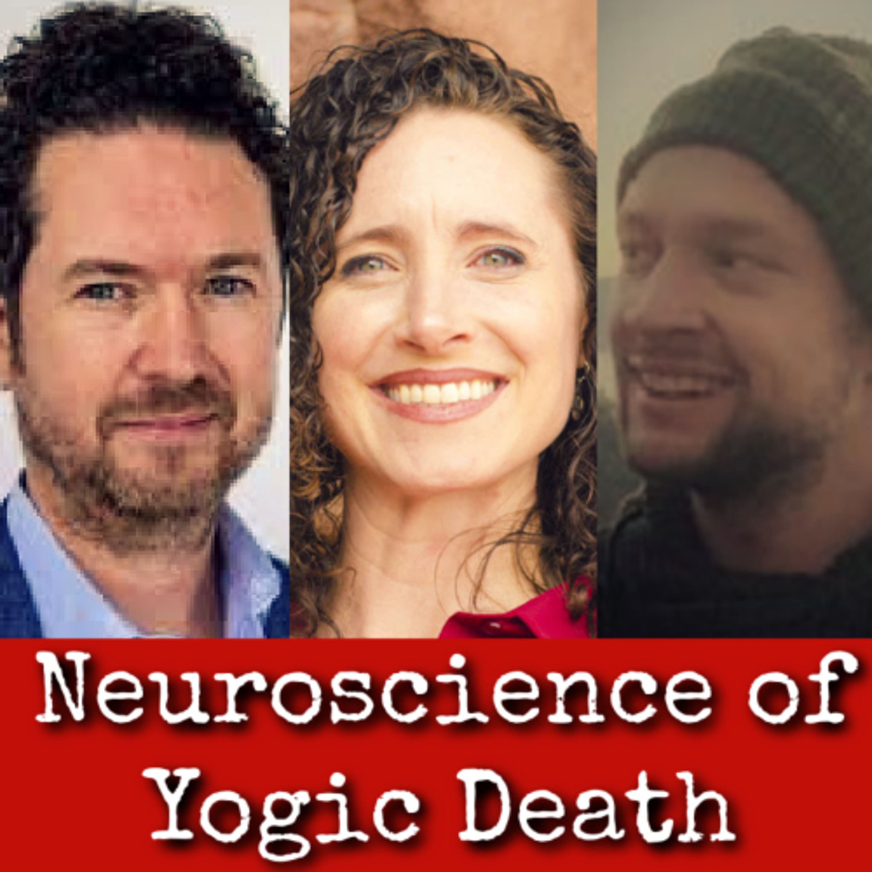 Guru Viking Podcast