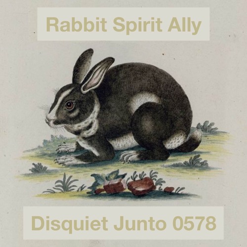 The Euclidean Chromaticon | Rabbit Spirit Ally - disquiet0578