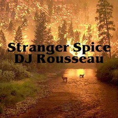 Stranger Spice - Guest DJ Mix for Frequency WRIR 97.3 FM