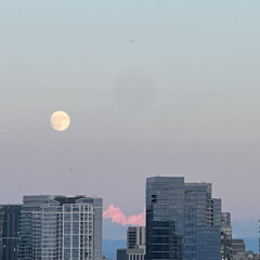 711 pt2 (prod. johnnyfriend)