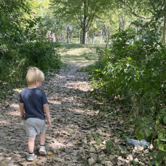 Walk around the block