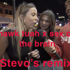 Sex On The Brain X Hawktuah (stevo's remix)