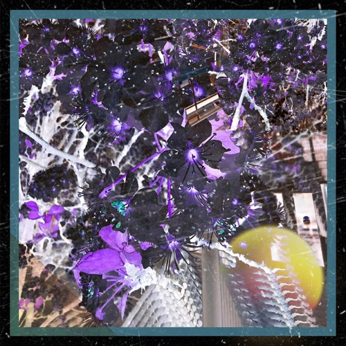 birds of paradise (free DL for the culture)