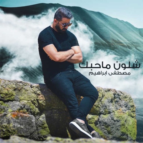 DJ LAITH |ريمكس شلون ماحبك مصطفى ابراهيم