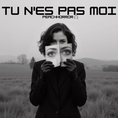 Tu n'es pas moi (you're not me)