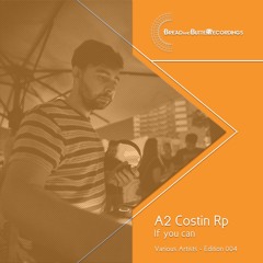 Costin Rp - If You Can - Bread and Butter Recordings - Editon 004