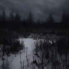 v17 - а пока мне 16 slowed