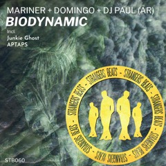 2. Mariner + Domingo + DJ Paul (AR) - APTAPS (Original Mix) [Strangers Beats]
