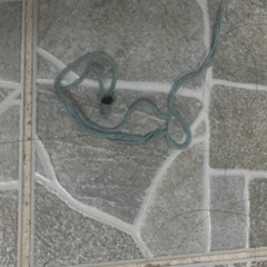 Inot the engless Nghit