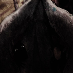 𝙰𝚕𝚝𝚎𝚛𝚗𝚊𝚝𝚎𝚜 𝚊𝚛𝚎 𝚓𝚞𝚜𝚝 𝚌𝚑𝚒𝚕𝚍𝚜 𝚘𝚏 𝚔𝚢𝚘𝚔𝚒 𝙿𝚁𝙾𝙳. 𝚃𝚁𝚄𝙽𝙺𝚂𝚃𝚈𝙻𝙴𝚉 *re-upload*